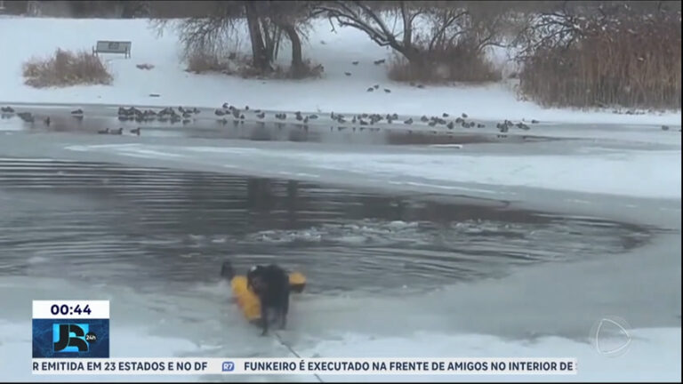 bombeiro-arrisca-a-vida-para-resgatar-caozinho-em-lago-parcialmente-congelado