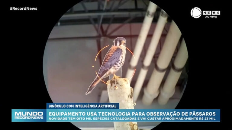 binoculo-controlado-por-inteligencia-artificial-mostra-especies-de-passaros