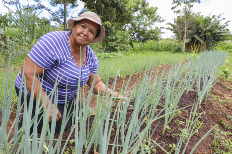 combate-a-dengue-ajuda-produtores-rurais-do-df-com-materia-prima