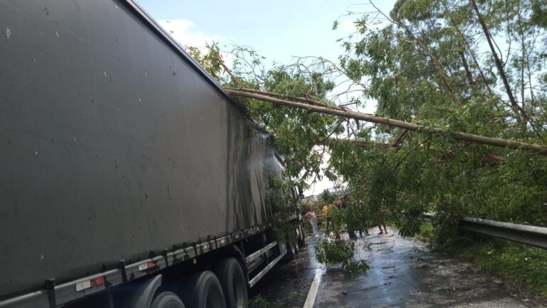 rodovia-regis-bittencourt-registra-acidentes-em-registro