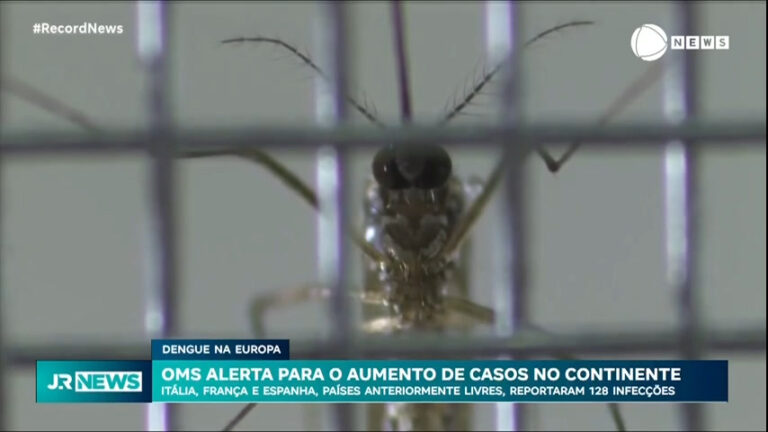 mudancas-climaticas-estao-causando-aumento-nos-casos-de-dengue-na-europa