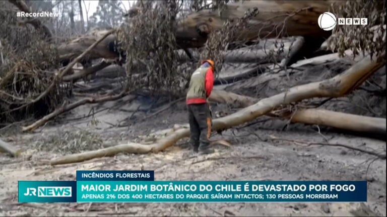 maior-jardim-botanico-do-chile-e-consumido-por-incendios-florestais-que-ja-mataram-130-pessoas