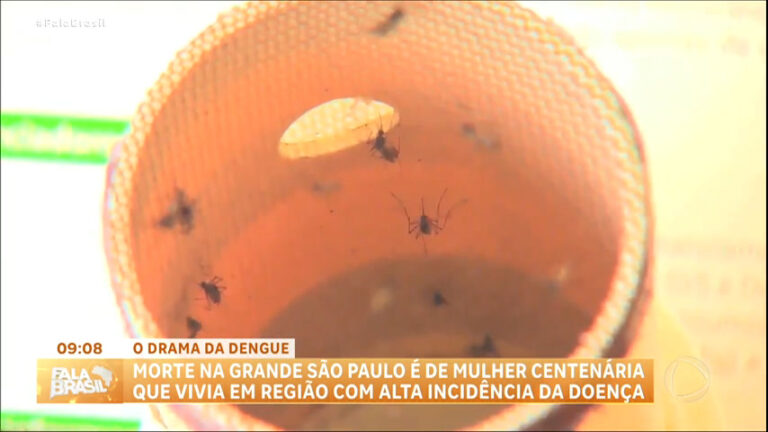 estado-de-sao-paulo-registra-seis-mortes-por-dengue