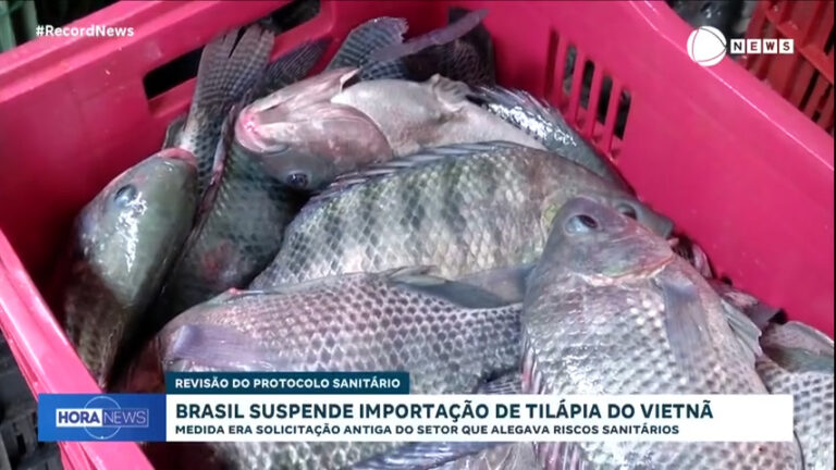 brasil-suspende-importacao-de-tilapia-do-vietna-por-risco-sanitario