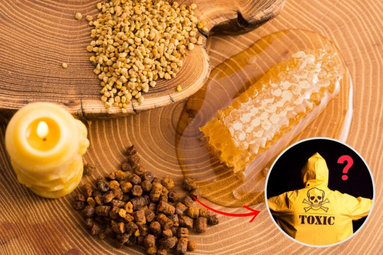 propolis-vencida-faz-mal?-surpreenda-se-com-a-resposta