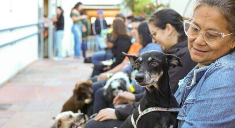 nodulos-em-pets-nao-devem-ser-ignorados,-afirma-veterinaria-da-subea