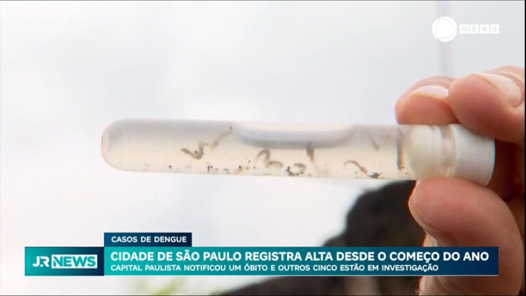 casos-de-dengue-na-capital-paulista-saltam-para-14-mil;-ja-foram-registradas-15-mortes-pela-doenca