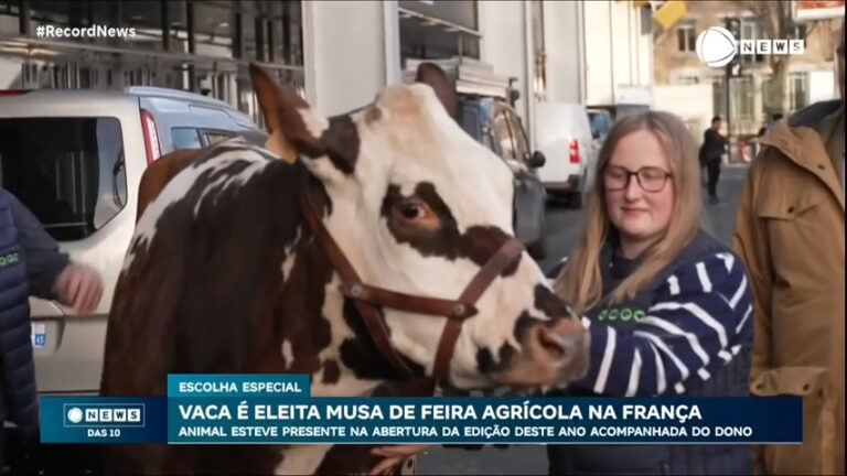 vaca-e-eleita-musa-de-feira-agricola-na-franca