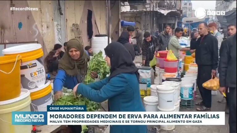 escassez-de-alimentos-faz-com-que-civis-da-faixa-de-gaza-se-alimentem-de-erva-daninha