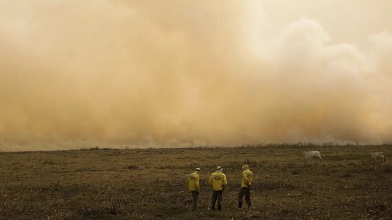 stf-determina-plano-de-combate-a-incendios-no-pantanal-e-na-amazonia